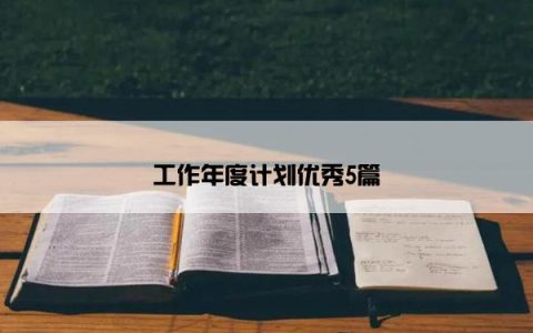 工作年度计划优秀5篇
