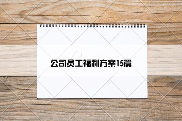 公司员工福利方案15篇