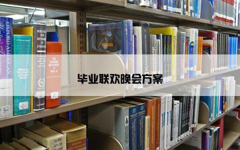 毕业联欢晚会方案