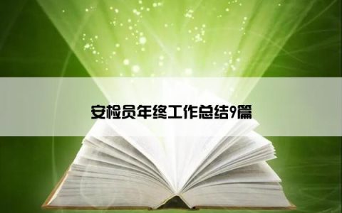 安检员年终工作总结9篇