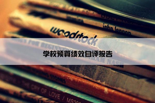 学校预算绩效自评报告