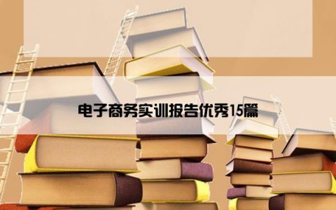 电子商务实训报告优秀15篇