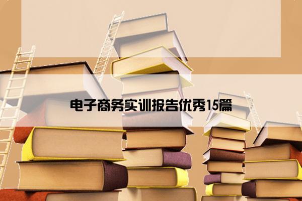 电子商务实训报告优秀15篇