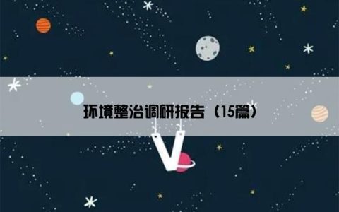 环境整治调研报告（15篇）