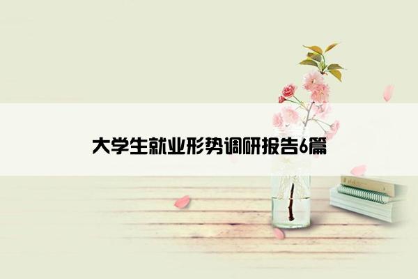 大学生就业形势调研报告6篇