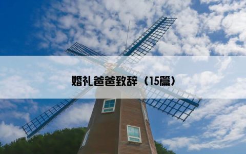 婚礼爸爸致辞（15篇）