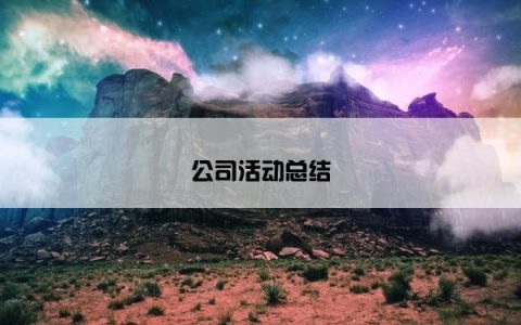 公司活动总结