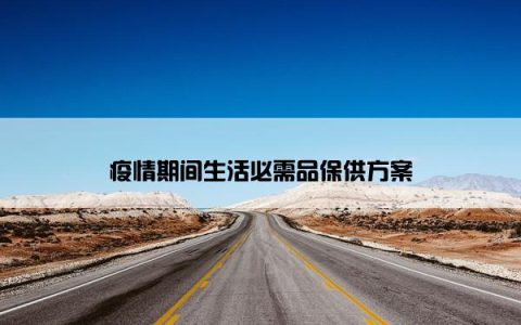 疫情期间生活必需品保供方案