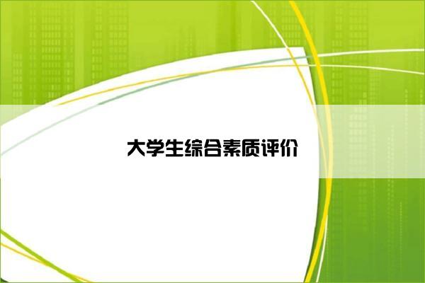 大学生综合素质评价