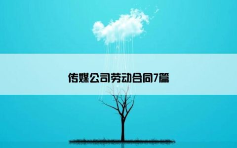 传媒公司劳动合同7篇