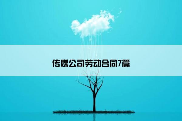 传媒公司劳动合同7篇