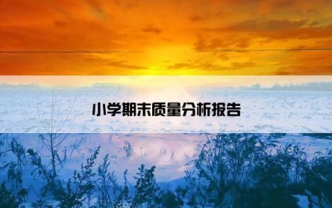 小学期末质量分析报告