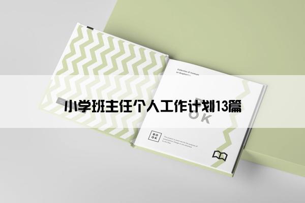 小学班主任个人工作计划13篇