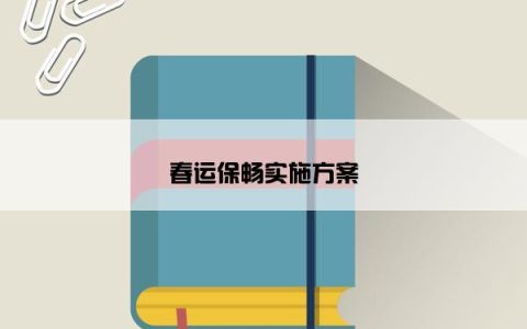 春运保畅实施方案