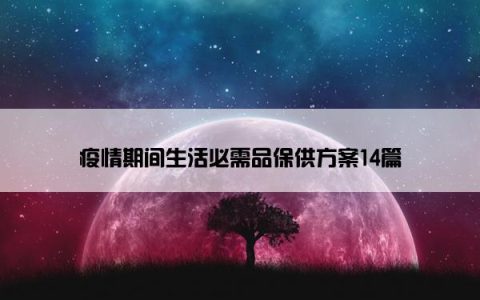 疫情期间生活必需品保供方案14篇