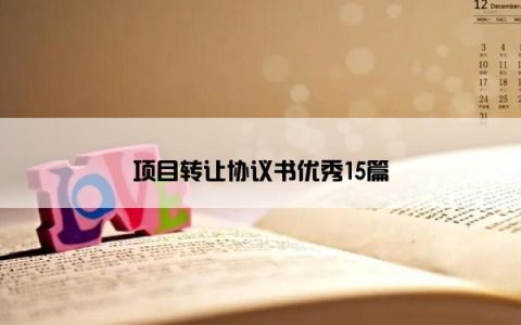 项目转让协议书优秀15篇