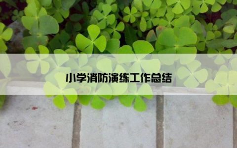 小学消防演练工作总结