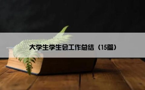 大学生学生会工作总结（15篇）