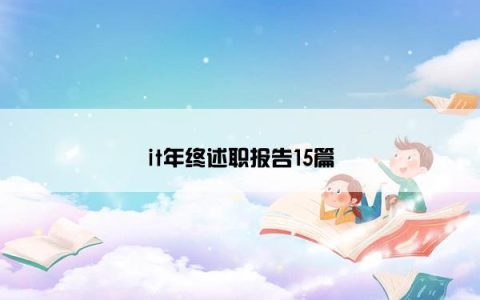 it年终述职报告15篇