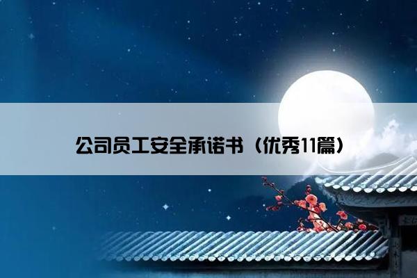 公司员工安全承诺书（优秀11篇）