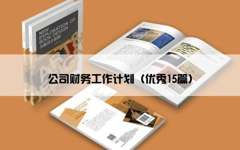 公司财务工作计划（优秀15篇）