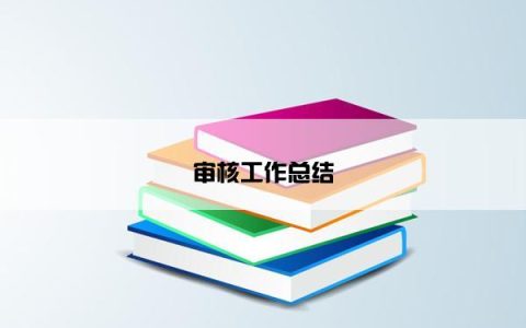 审核工作总结