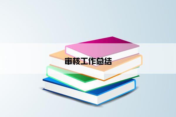 审核工作总结