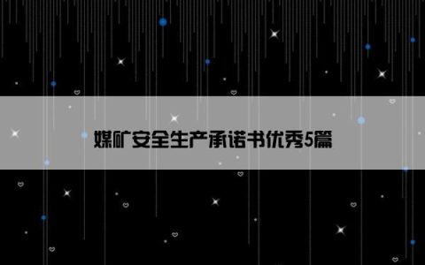 媒矿安全生产承诺书优秀5篇