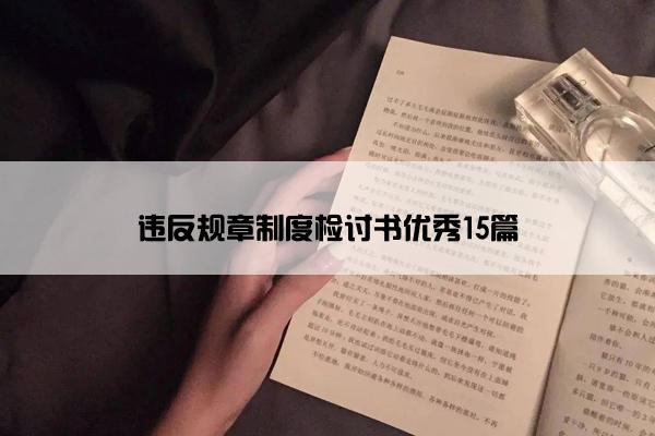 违反规章制度检讨书优秀15篇