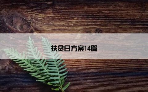 扶贫日方案14篇