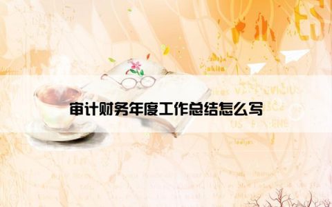 审计财务年度工作总结怎么写