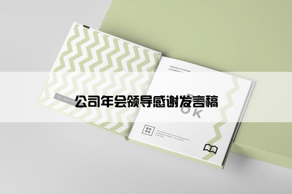 公司年会领导感谢发言稿