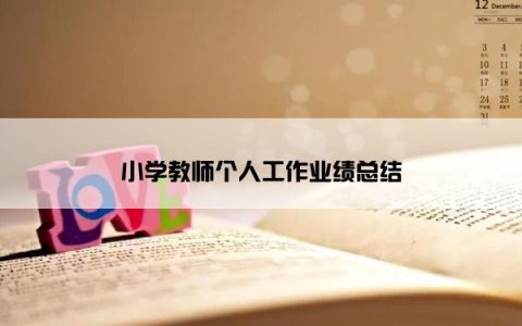 小学教师个人工作业绩总结