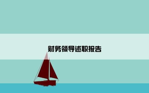 财务领导述职报告