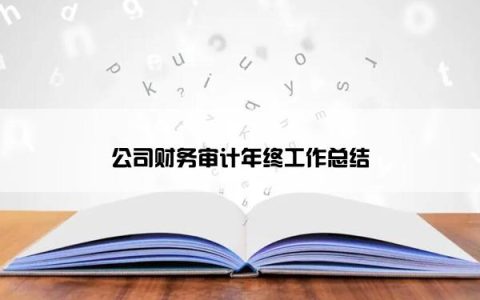 公司财务审计年终工作总结