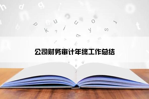 公司财务审计年终工作总结