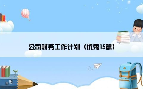 公司财务工作计划（优秀15篇）