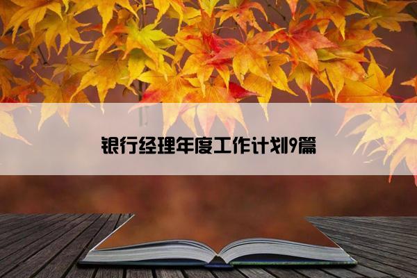 银行经理年度工作计划9篇