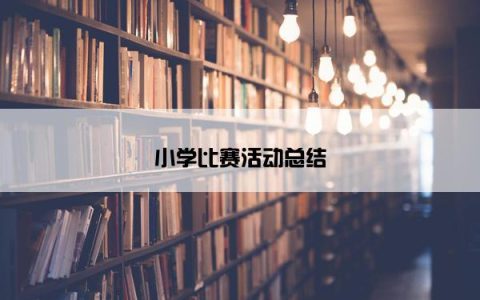 小学比赛活动总结