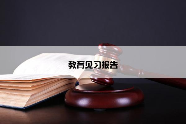 教育见习报告