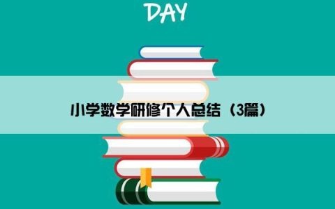 小学数学研修个人总结（3篇）