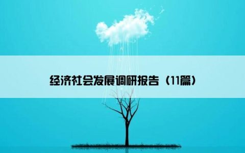 经济社会发展调研报告（11篇）