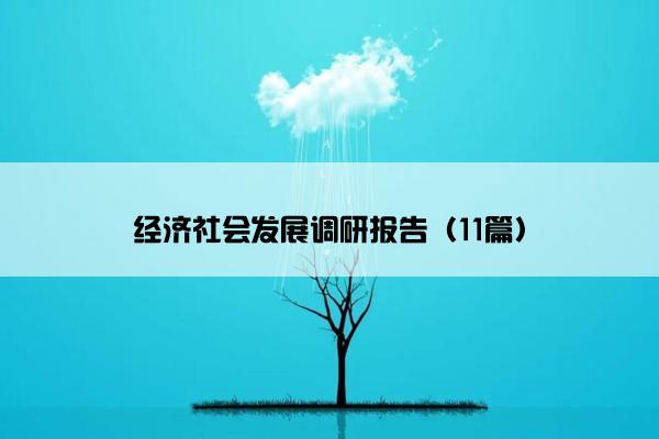 经济社会发展调研报告（11篇）