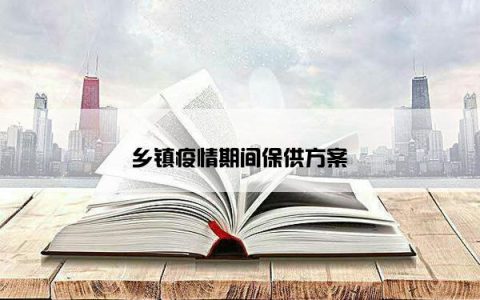 乡镇疫情期间保供方案