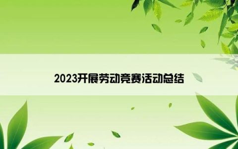 2023开展劳动竞赛活动总结