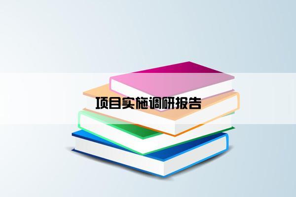 项目实施调研报告