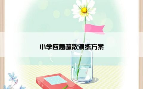 小学应急疏散演练方案