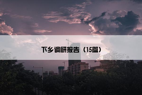 下乡调研报告（15篇）