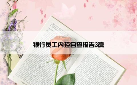 银行员工内控自查报告3篇