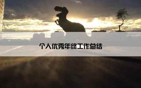 个人优秀年终工作总结